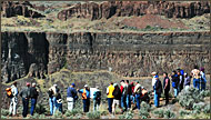 Jack Powell explains Frenchman Springs Coulee basalt.