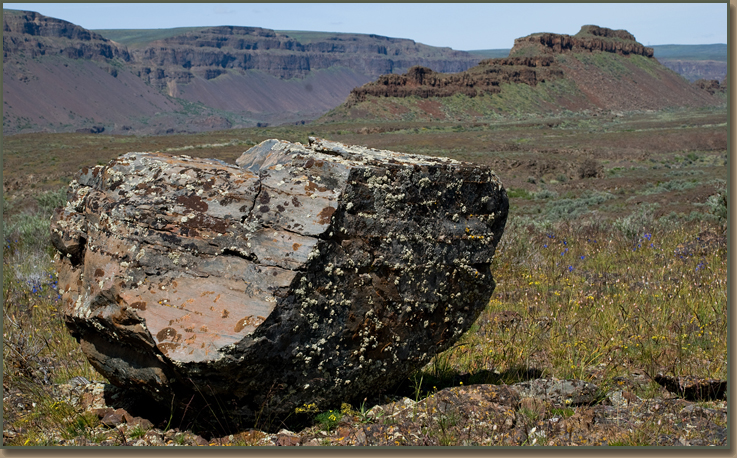 Lower Grand Coulee Field Trip.