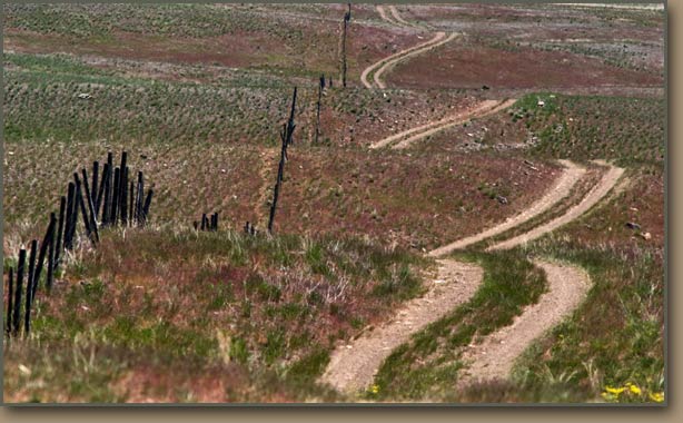 Camas Prairie giant current ripples created when Glacial Lake Missoula suddenly drained.