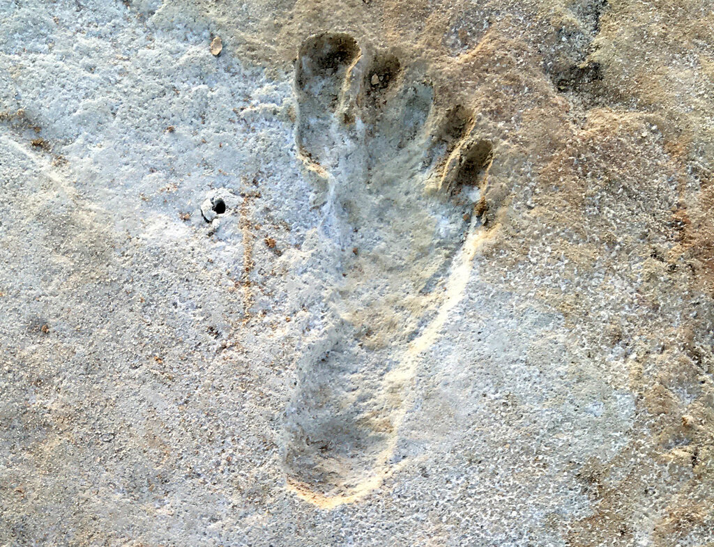 23,000 Year Old Human Footprints Found in New Mexico