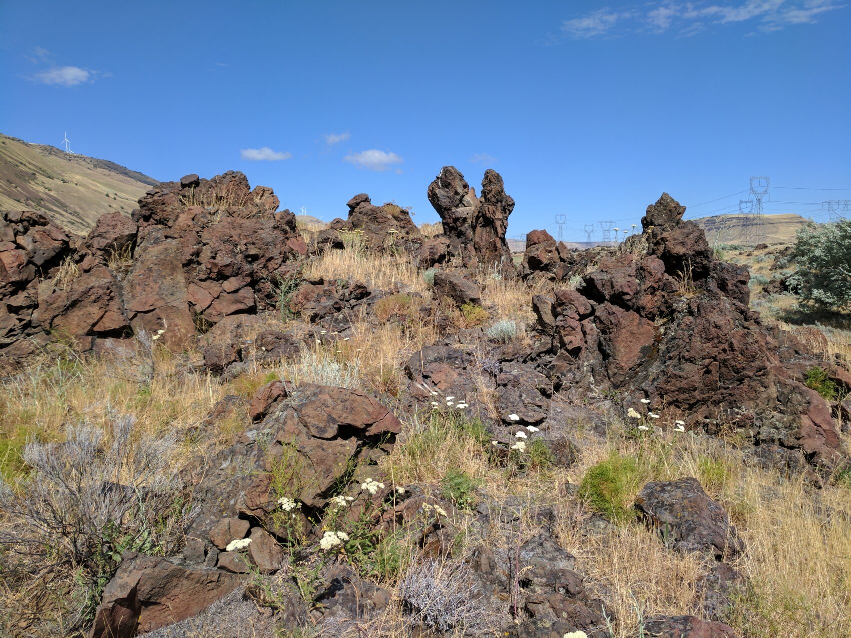 Basalt Hoodoos Near John Day Dam