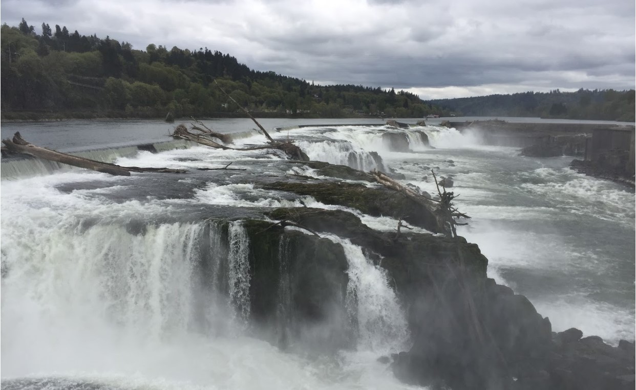 Willamette Falls