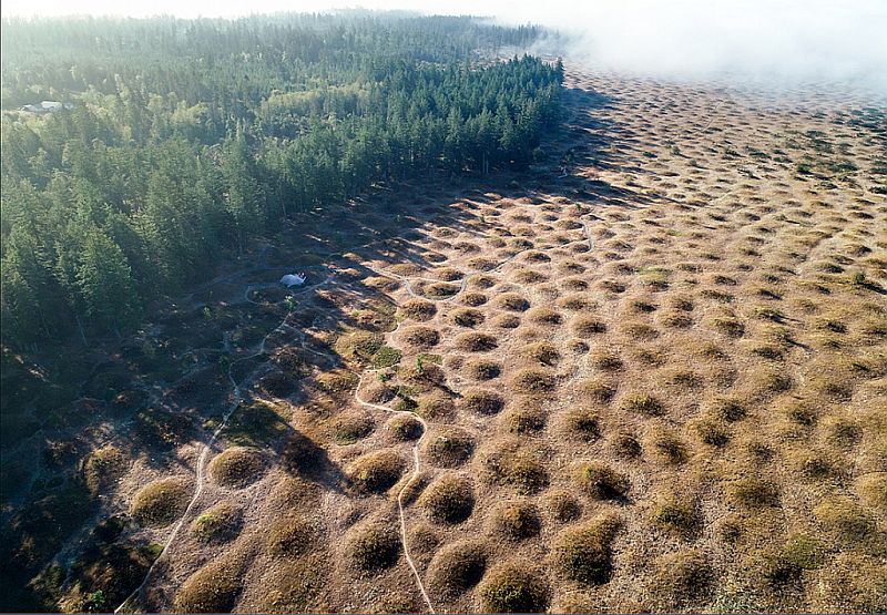 Mima Mounds Nat'l Preserve