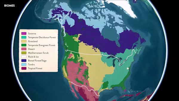Climate, vegetation and animal life vary across the landscapes of the United States, forming distinct biomes. Smithsonian/Esri/RESOLVE, CC BY-NC