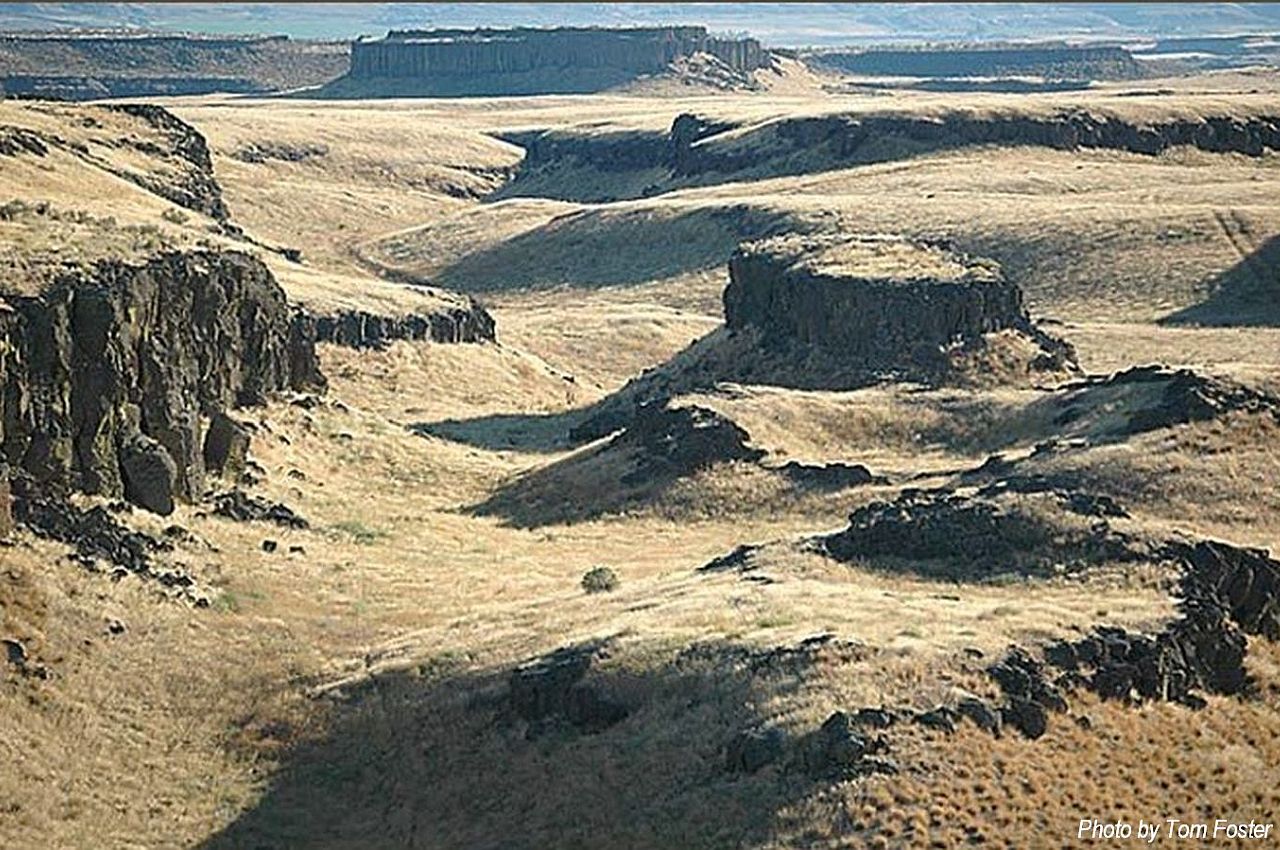 Drumheller Channels