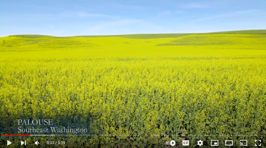 Goldilocks Miracle of the Palouse | Nick on the Rocks