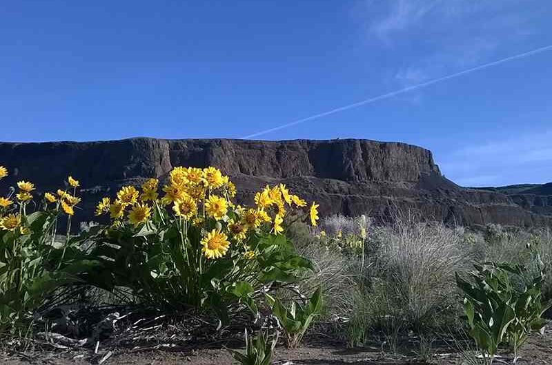 Springtime at Steamboat Rock by George Kuzminsky