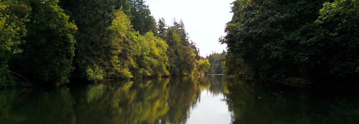 tualatin_river_at_browns_ferry_park_tualatin-1024x768
